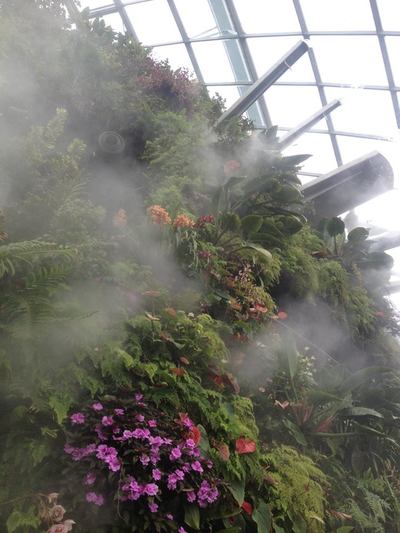 Cloud forest in Gardens By The Bay Singapore