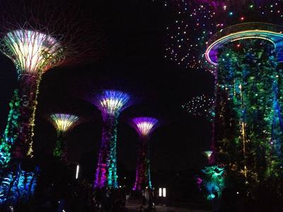 Supertrees at night in Singapore