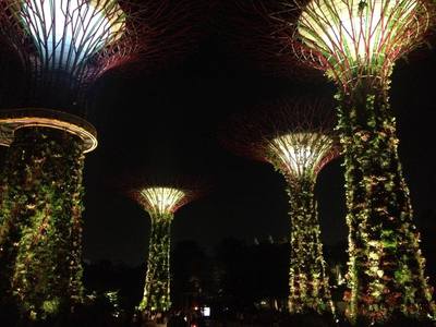Super trees at night in Singapore