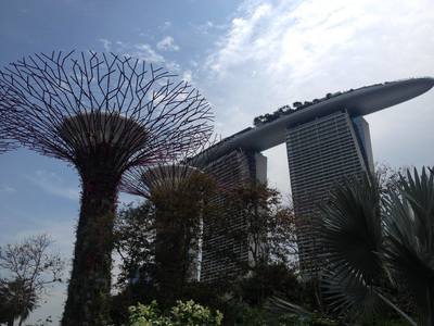 Super trees in Singapore
